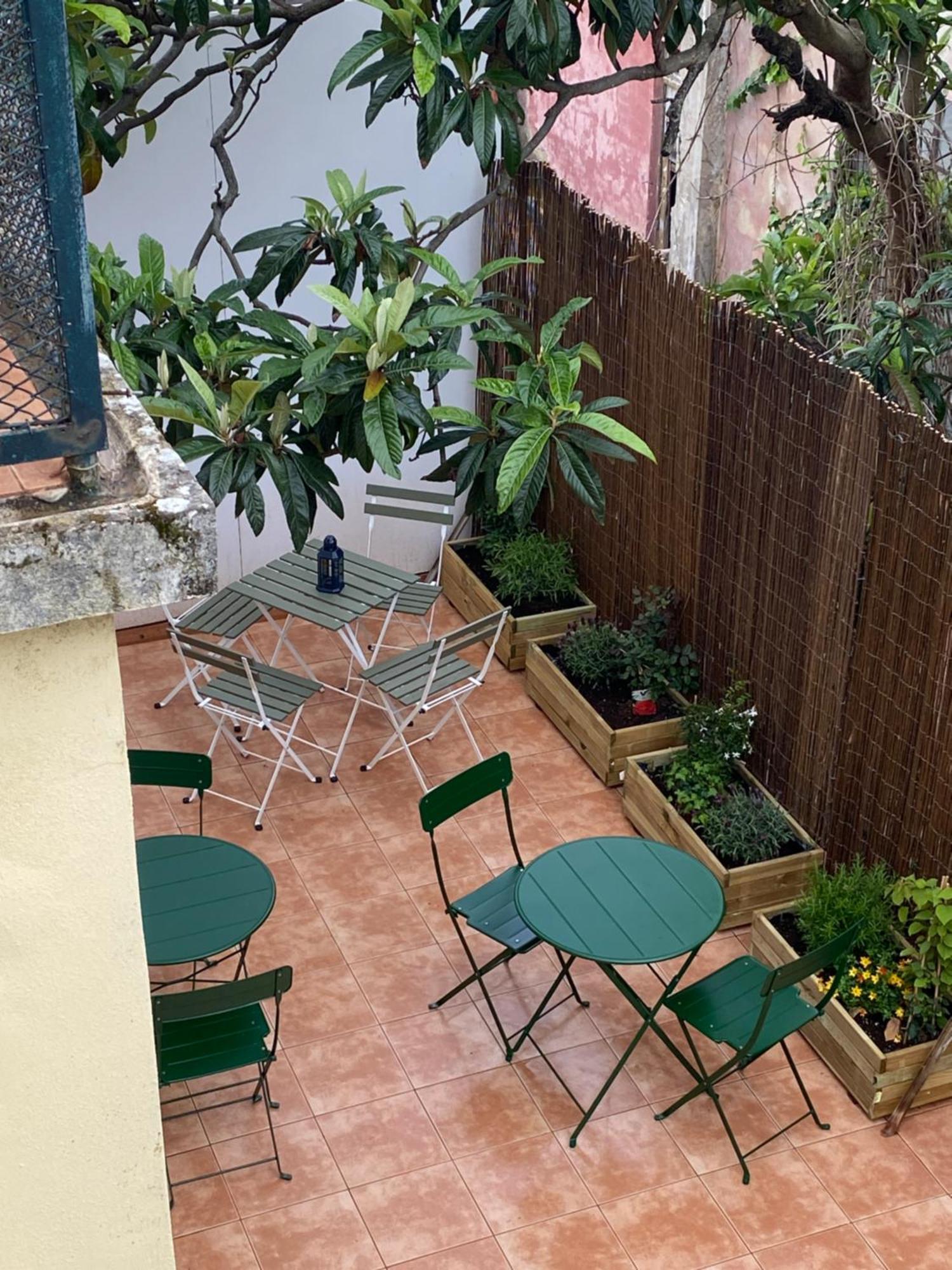 Terrace House Hostel Lisboa Εξωτερικό φωτογραφία